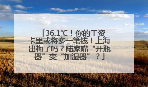 36.1℃！你的工资卡里或将多一笔钱！上海出梅了吗？陆家嘴“开瓶器”变“加湿器”？
