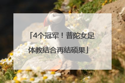 4个冠军！普陀女足体教结合再结硕果