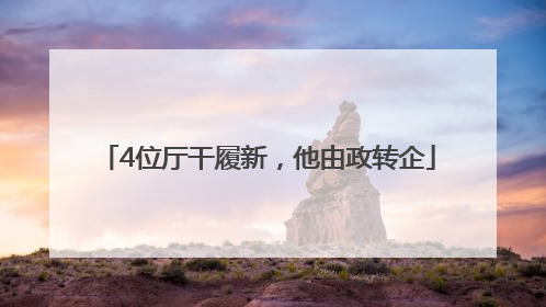 4位厅干履新，他由政转企