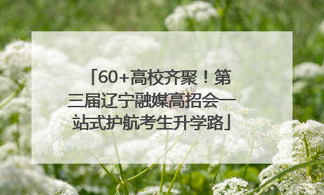 60+高校齐聚！第三届辽宁融媒高招会一站式护航考生升学路