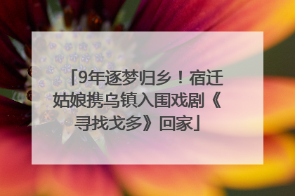 9年逐梦归乡！宿迁姑娘携乌镇入围戏剧《寻找戈多》回家