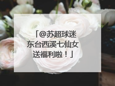 @苏超球迷 东台西溪七仙女送福利啦！
