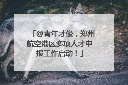 @青年才俊，郑州航空港区多项人才申报工作启动！