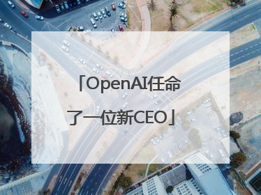 OpenAI任命了一位新CEO